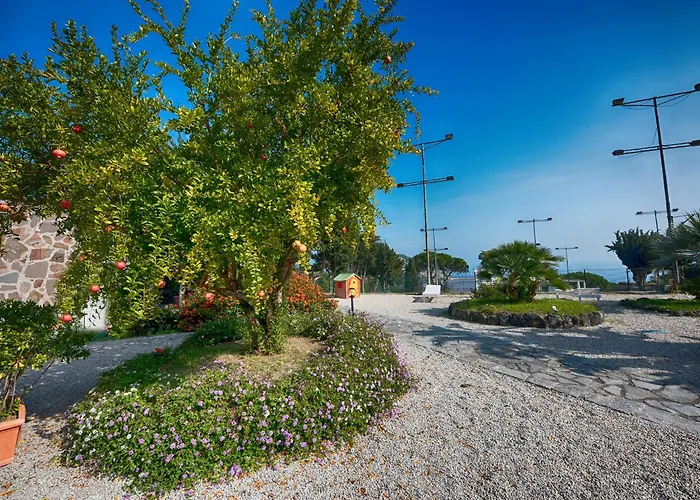 Hotel Parco Cartaromana Ischia